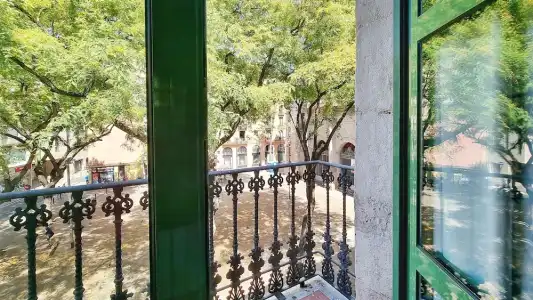 Sant Agustí - 50