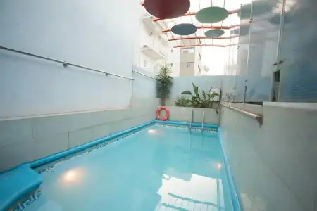 Tropical - 10