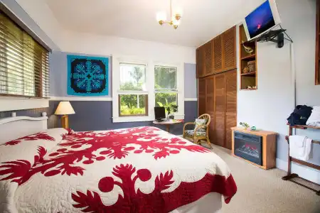 Aloha Junction Bed and Breakfast -Minutes Away from Hawaii Volcanoes National Park - 3