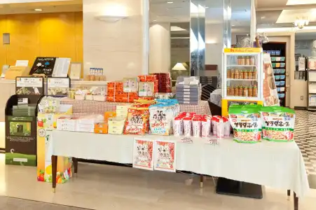 Sunroute Niigata - 12