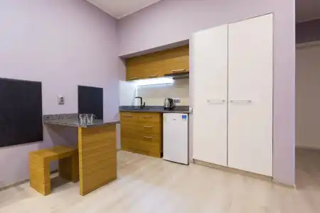 Pushkinskaya Apartments - 18