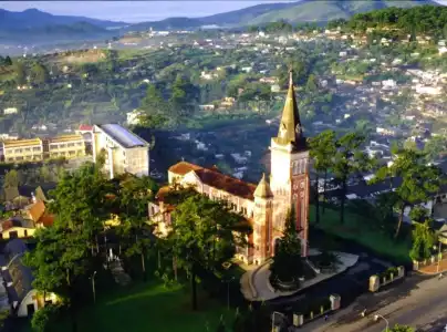 Dalat Vanilla - 11