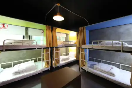 Calli Hostel - 5