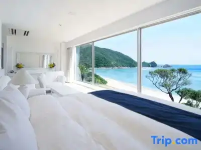 THE SCENE amami spa & resort - 41