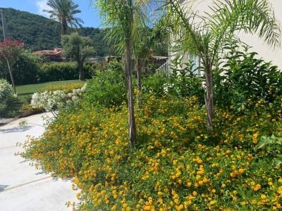 Il Borghetto Resort & Spa - 22