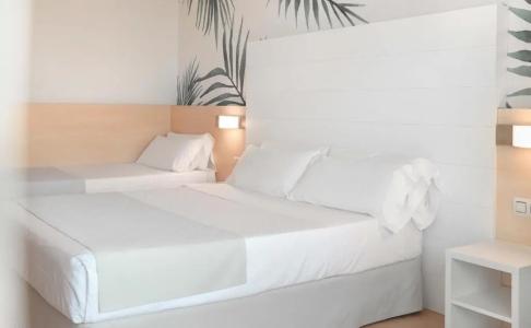 Alegria Florida - 30