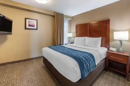 Comfort Inn & Suites Ventura Beach - 48