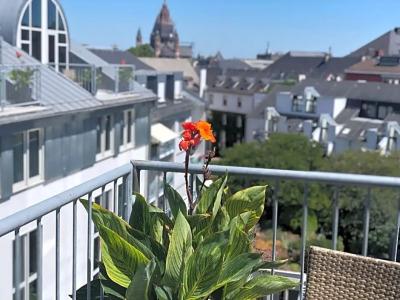 Brunfels, in the Unbound Collection by Hyatt - 29