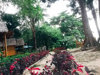 Koh Mook Resort - 57
