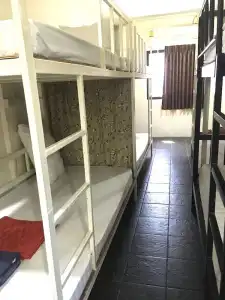 Golden Bee PhiPhi Hostel - 13