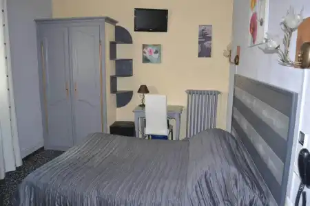 Hôtel Le Dauphin Bleu - 42