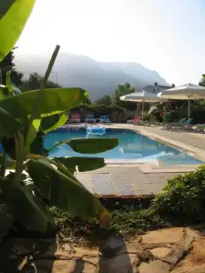 Pasha Suites - 1