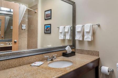 Comfort Inn & Suites Durango - 10