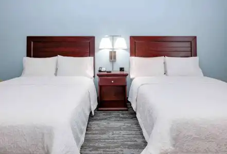 Hampton Inn & Suites Dallas-Arlington-South - 53