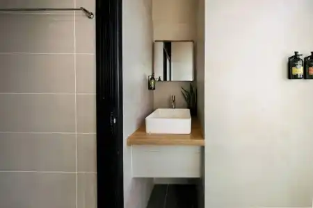 Sydney Wattle - 77