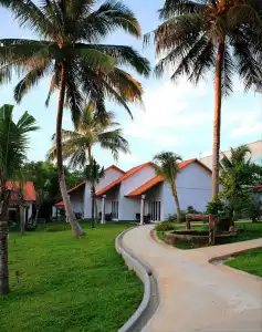 Terrace Resort - 49