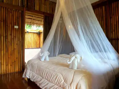 Khao Sok Jungle Resort - 0