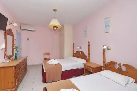 Dolphin - 40