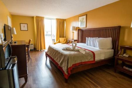 B&B Orlando International Drive Near Universal - Newly Renovated! - 120