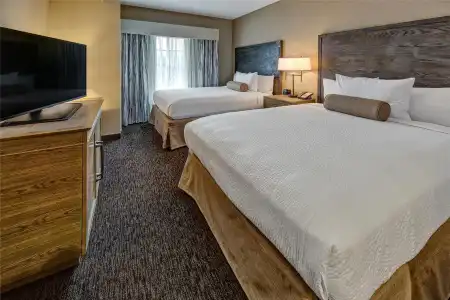 Black Fox Lodge Pigeon Forge, Tapestry Collection by Hilton - 106