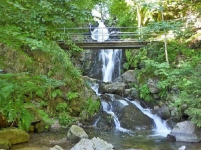 Waldblick BSR Restaurant - 26