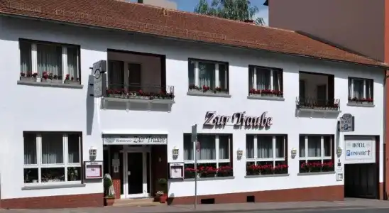 Zur Traube - 0