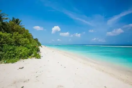 Tropicana Beach and Spa - 8