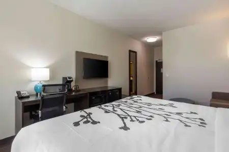 Sleep Inn & Suites Tampa South - 28