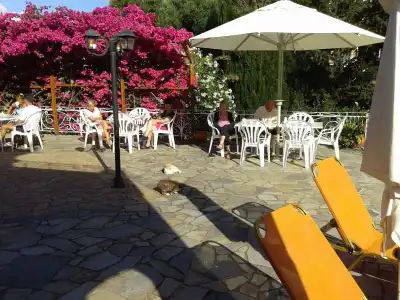 La Signora - 19