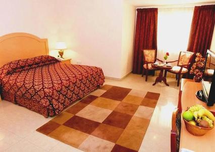 Safeer Suites - 17