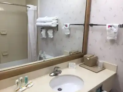 Quality Inn & Suites, Near University - 8