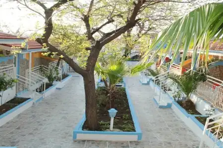 Side Temple - 11