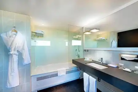 Crowne Plaza DUSSELDORF - NEUSS by IHG - 96