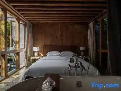 Oasis The Secret Luxury - 14