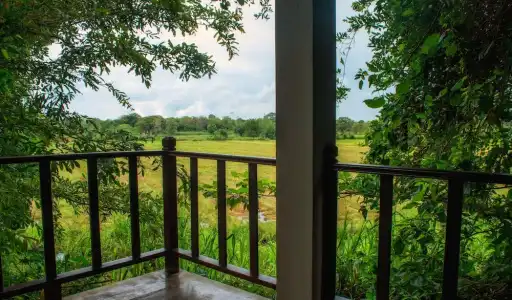 Camellia Resort and Spa -Sigiriya - 74