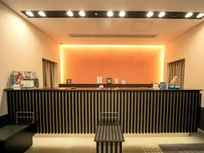 Sotetsu Fresa Inn Ochanomizu Jimbocho - 4