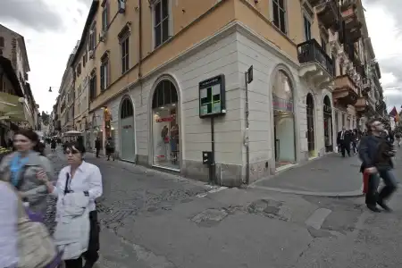 Panda - 0