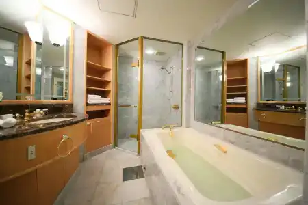 Allamanda Aoyama - 10