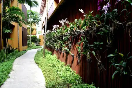 Deva Beach Resort Samui - 42