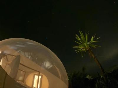 Green Land Bubble Glamping - 35