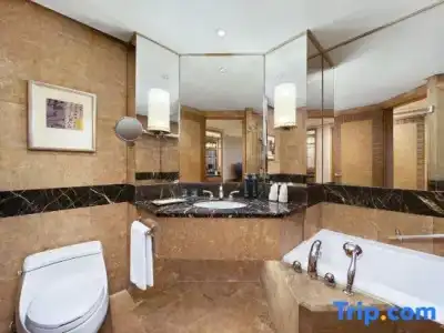 Hilton Chongqing - 79