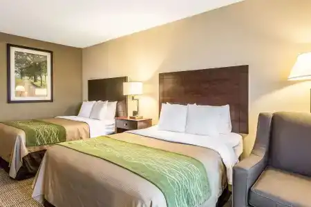 Comfort Inn Lansing West - 2