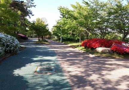 Hub Guest House - 11