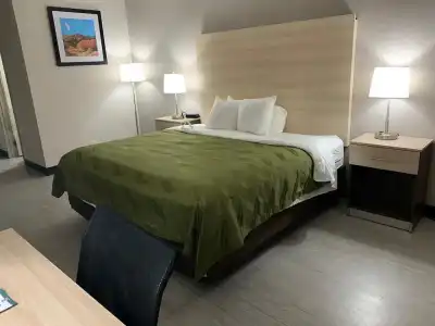Quality Inn Airport East - 35