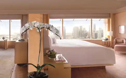 The Ritz-Carlton, Millenia - 4