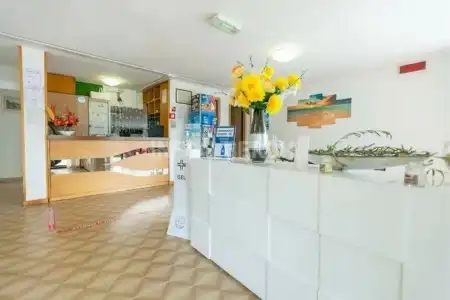Paradiso - 1