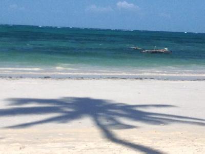 Simba Beach Zanzibar - 24
