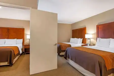 Comfort Inn Santa Monica - West Los Angeles - 50