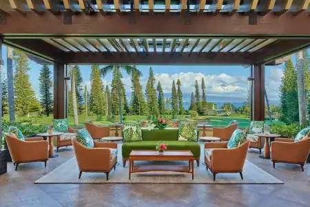 The Ritz-Carlton Maui, Kapalua - 60