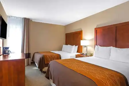 Comfort Inn Santa Monica - West Los Angeles - 49